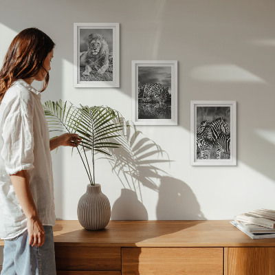 Conjunto de 3 quadros decorativos Animais selvagens da savana: leão, onça-pintada e zebra.