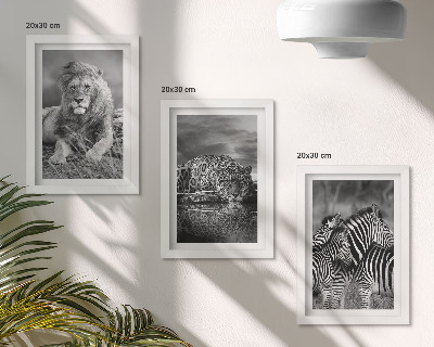 Conjunto de 3 quadros decorativos Animais selvagens da savana: leão, onça-pintada e zebra.