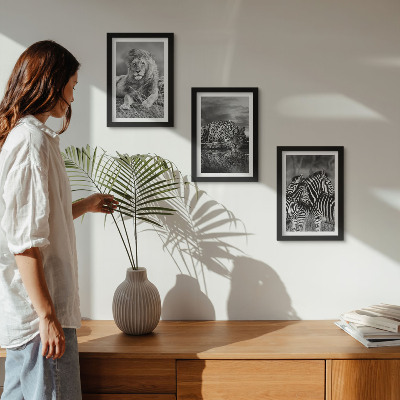 Conjunto de 3 quadros decorativos Animais selvagens da savana: leão, onça-pintada e zebra.