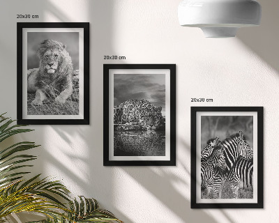 Conjunto de 3 quadros decorativos Animais selvagens da savana: leão, onça-pintada e zebra.