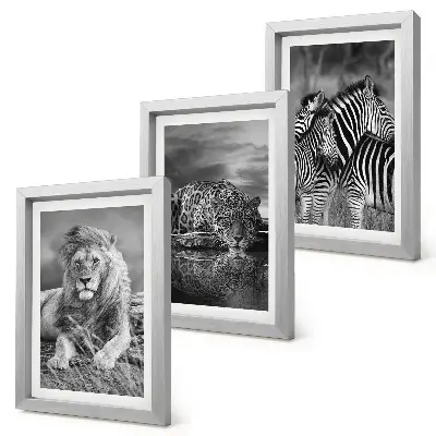 Conjunto de 3 quadros decorativos animais selvagens da savana com leão, onça-pintada e zebra