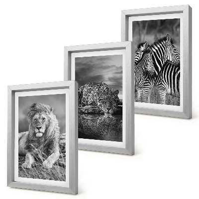 Conjunto de 3 quadros decorativos Animais selvagens da savana: leão, onça-pintada e zebra.