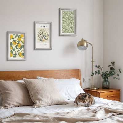 Conjunto de molduras com imagens Motivos de limão com ervas e folhas de plantas