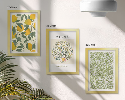Conjunto de molduras com imagens Motivos de limão com ervas e folhas de plantas