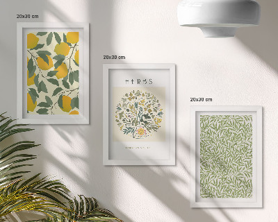 Conjunto de molduras com imagens Motivos de limão com ervas e folhas de plantas