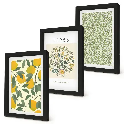 Conjunto de quadros decorativos com motivos de limão, ervas e folhas