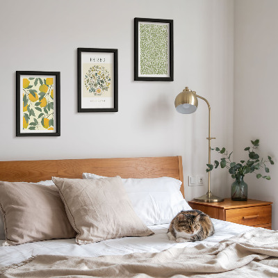Conjunto de molduras com imagens Motivos de limão com ervas e folhas de plantas