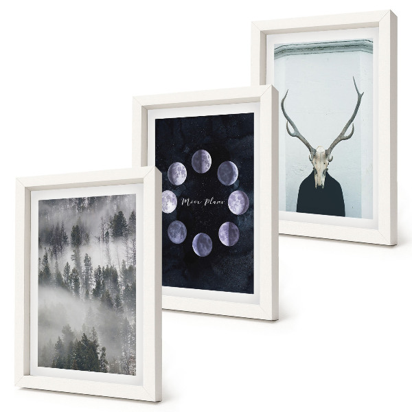 Conjunto de 3 quadros decorativos Paisagem florestal na neblina, fases da lua, crânio de veado