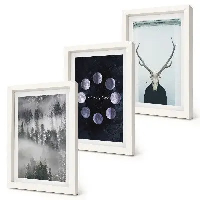 Conjunto de 3 quadros decorativos com estampa de paisagem florestal na neblina fases da lua e crânio de veado
