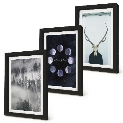 Conjunto de 3 quadros decorativos Paisagem florestal na neblina, fases da lua, crânio de veado