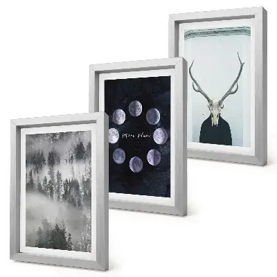Conjunto de 3 quadros decorativos com estampa de paisagem florestal na neblina fases da lua e crânio de veado