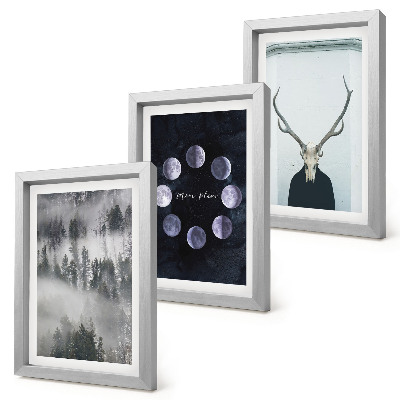 Conjunto de 3 quadros decorativos Paisagem florestal na neblina, fases da lua, crânio de veado