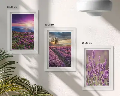 Tríptico paisagem com campos de lavanda e pôr do sol com moldura