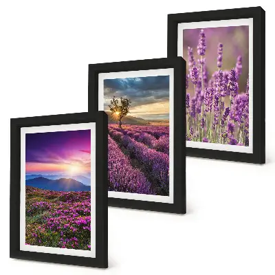 Tríptico paisagem com campos de lavanda e pôr do sol com moldura
