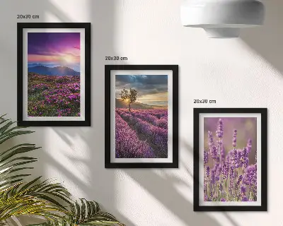 Tríptico paisagem com campos de lavanda e pôr do sol com moldura