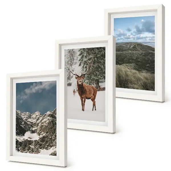 Conjunto de 3 quadros decorativos com montanhas com neve, veados na floresta e paisagens