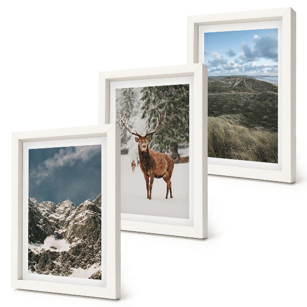 Conjunto de 3 quadros decorativos Montanhas com neve, veados na floresta, paisagens.