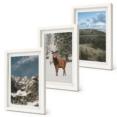 Conjunto de 3 quadros decorativos com montanhas com neve, veados na floresta e paisagens