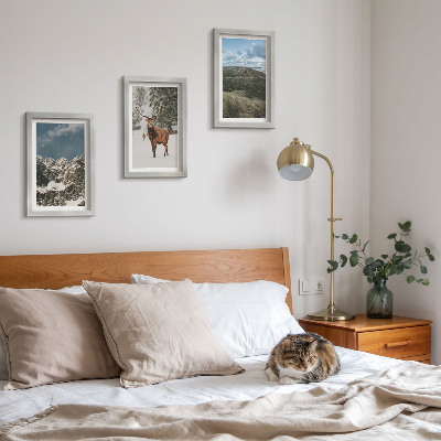 Conjunto de 3 quadros decorativos Montanhas com neve, veados na floresta, paisagens.
