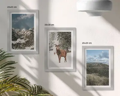 Conjunto de 3 quadros decorativos com montanhas com neve, veados na floresta e paisagens