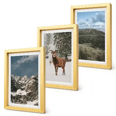 Conjunto de 3 quadros decorativos com montanhas com neve, veados na floresta e paisagens