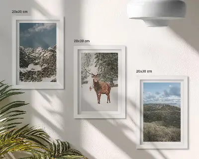 Conjunto de 3 quadros decorativos com montanhas com neve, veados na floresta e paisagens