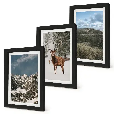 Conjunto de 3 quadros decorativos com montanhas com neve, veados na floresta e paisagens