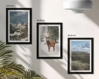 Conjunto de 3 quadros decorativos com montanhas com neve, veados na floresta e paisagens