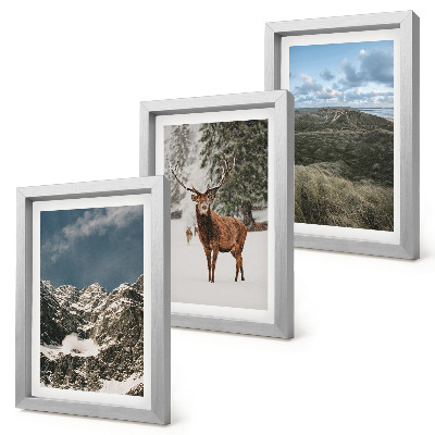 Conjunto de 3 quadros decorativos Montanhas com neve, veados na floresta, paisagens.