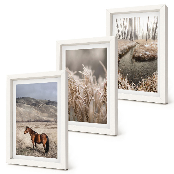 Conjunto de molduras com imagens Cavalos em uma paisagem de pastagens e um riacho de inverno.
