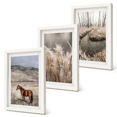 Conjunto de molduras com imagens Cavalos em uma paisagem de pastagens e um riacho de inverno.