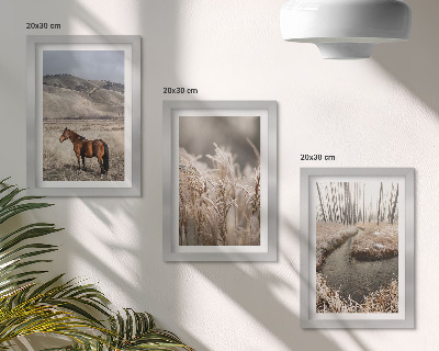 Conjunto de molduras com imagens Cavalos em uma paisagem de pastagens e um riacho de inverno.