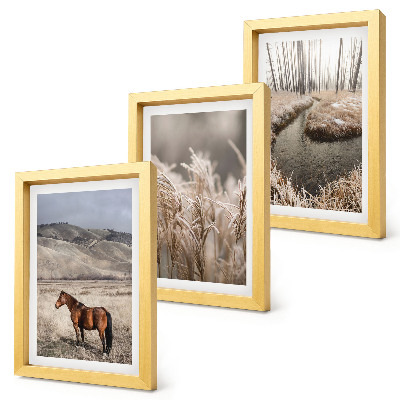 Conjunto de molduras com imagens Cavalos em uma paisagem de pastagens e um riacho de inverno.