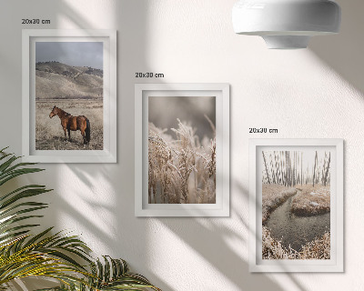 Conjunto de molduras com imagens Cavalos em uma paisagem de pastagens e um riacho de inverno.