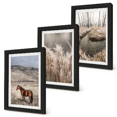Conjunto de molduras com imagens Cavalos em uma paisagem de pastagens e um riacho de inverno.