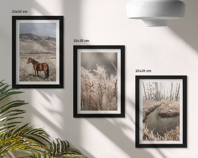 Conjunto de molduras com imagens Cavalos em uma paisagem de pastagens e um riacho de inverno.