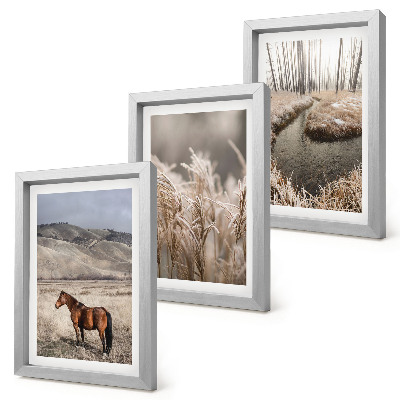 Conjunto de molduras com imagens Cavalos em uma paisagem de pastagens e um riacho de inverno.