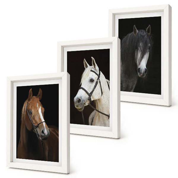 Tríptico com moldura Retratos de cavalos com diferentes tonalidades de pelagem.