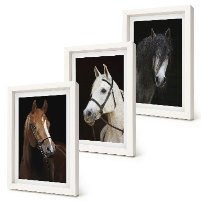 Tríptico com moldura Retratos de cavalos com diferentes tonalidades de pelagem.