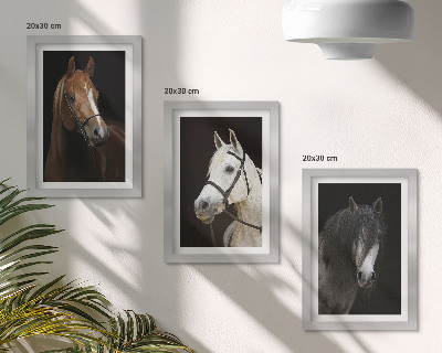 Tríptico com moldura Retratos de cavalos com diferentes tonalidades de pelagem.