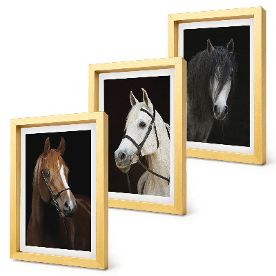 Tríptico com moldura Retratos de cavalos com diferentes tonalidades de pelagem.