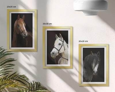 Tríptico com moldura Retratos de cavalos com diferentes tonalidades de pelagem.