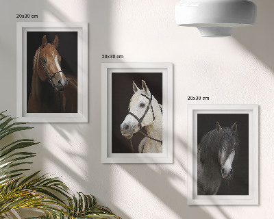 Tríptico com moldura Retratos de cavalos com diferentes tonalidades de pelagem.