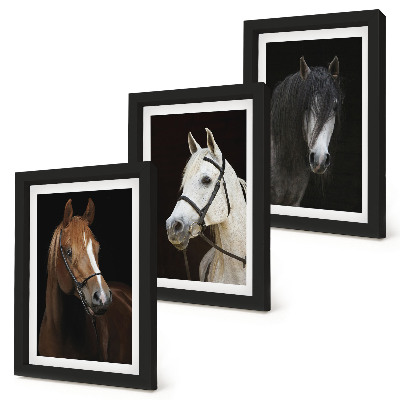 Tríptico com moldura Retratos de cavalos com diferentes tonalidades de pelagem.