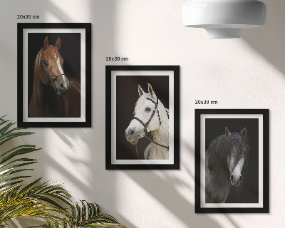 Tríptico com moldura Retratos de cavalos com diferentes tonalidades de pelagem.