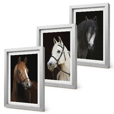 Tríptico com moldura Retratos de cavalos com diferentes tonalidades de pelagem.