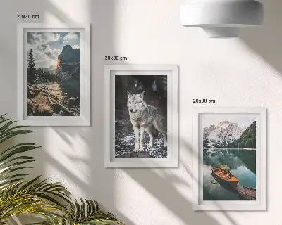 Conjunto de 3 quadros decorativos com temática de montanhas, lagos e lobo em ambiente natural