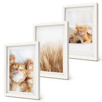 Conjunto de quadros decorativos com estampas de animais fofos, gatos e cachorros em estilo boho com grama delicada