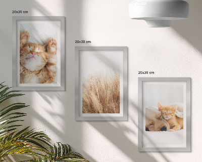 Conjunto de molduras com imagens Animais fofos, gatos, cachorros, grama delicada, estilo boho.