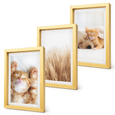 Conjunto de molduras com imagens Animais fofos, gatos, cachorros, grama delicada, estilo boho.